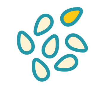 crunch